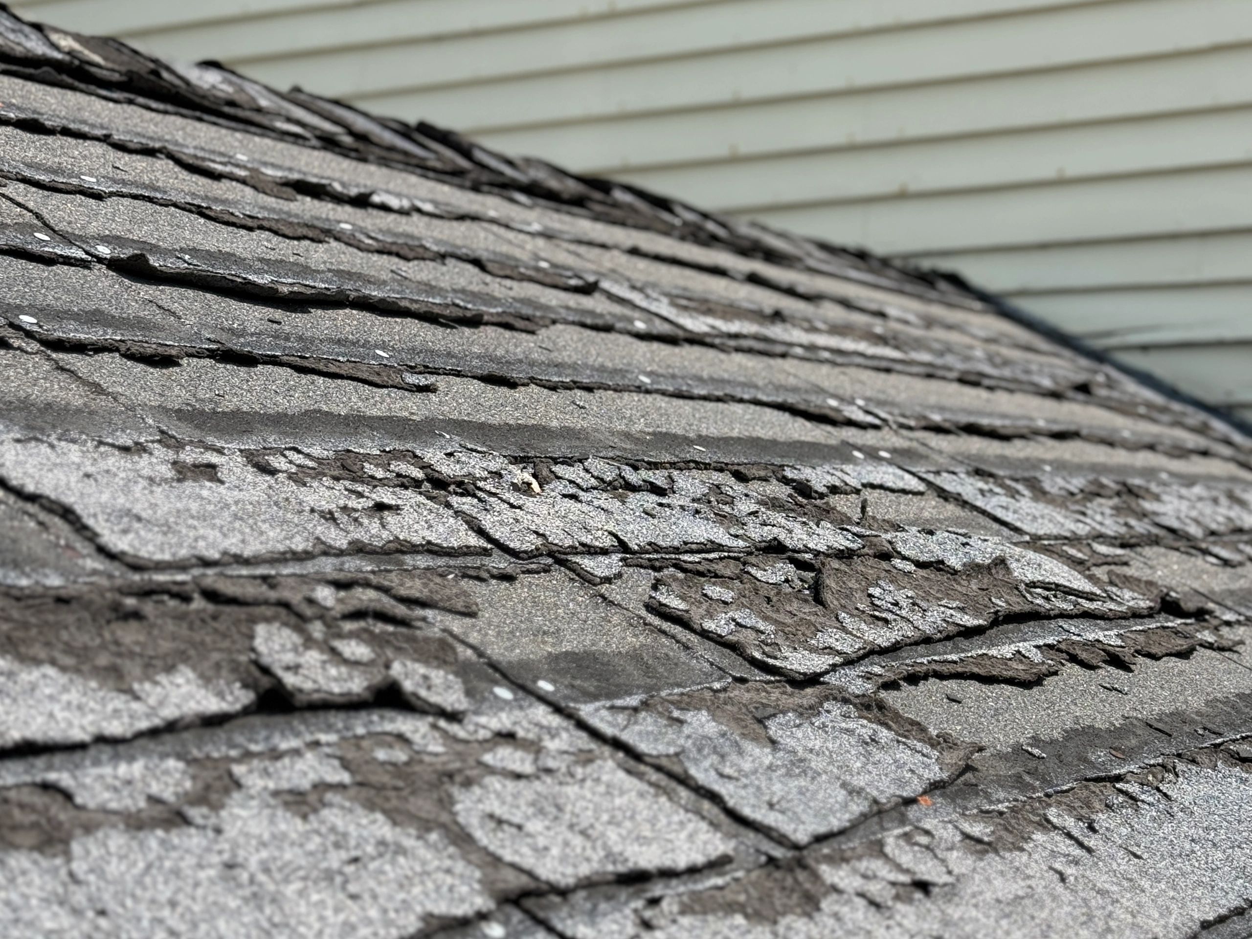 Damaged roof shingles needing repair